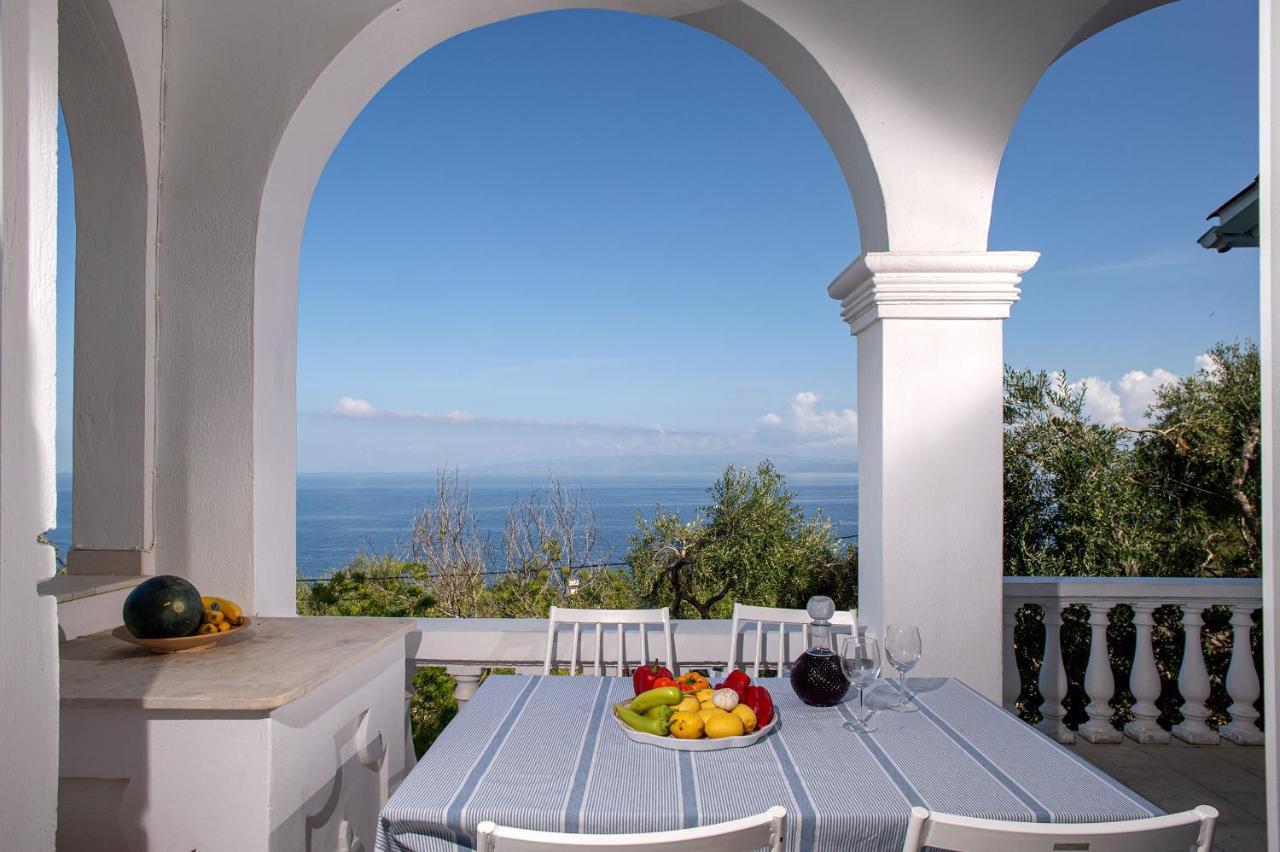 Paxosblue Suites & Villas ガイオス エクステリア 写真