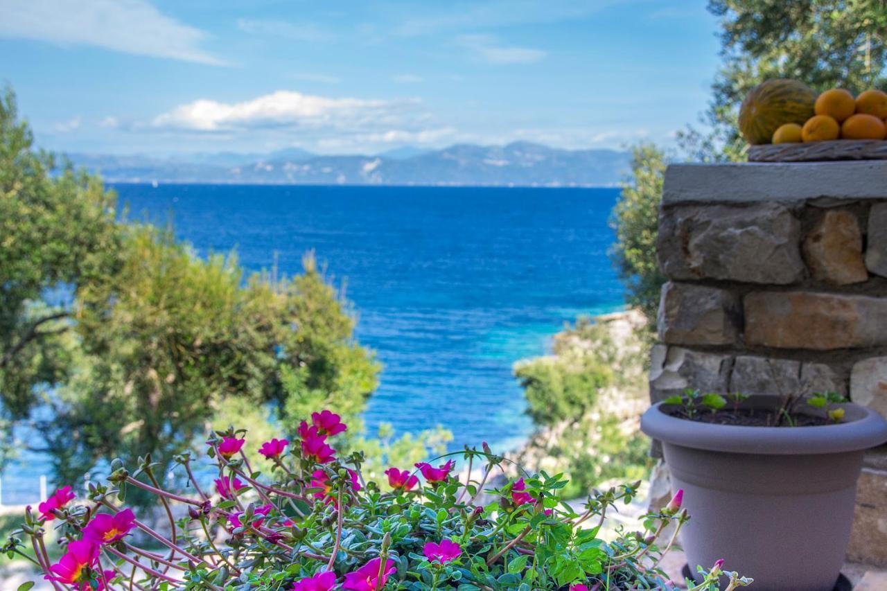 Paxosblue Suites & Villas ガイオス エクステリア 写真